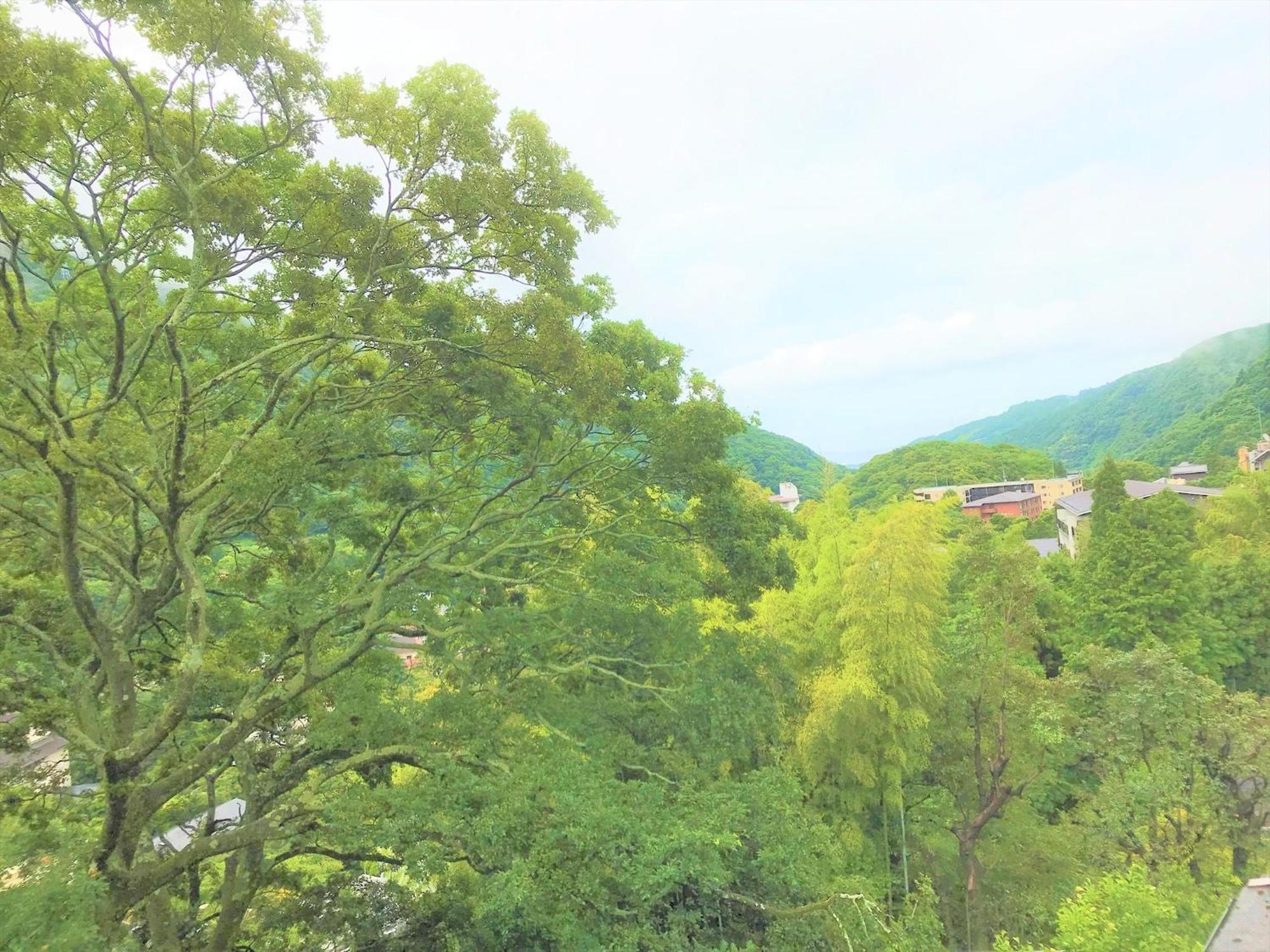 K'S House Hostels - Hakone Yumoto Onsen Chambre photo